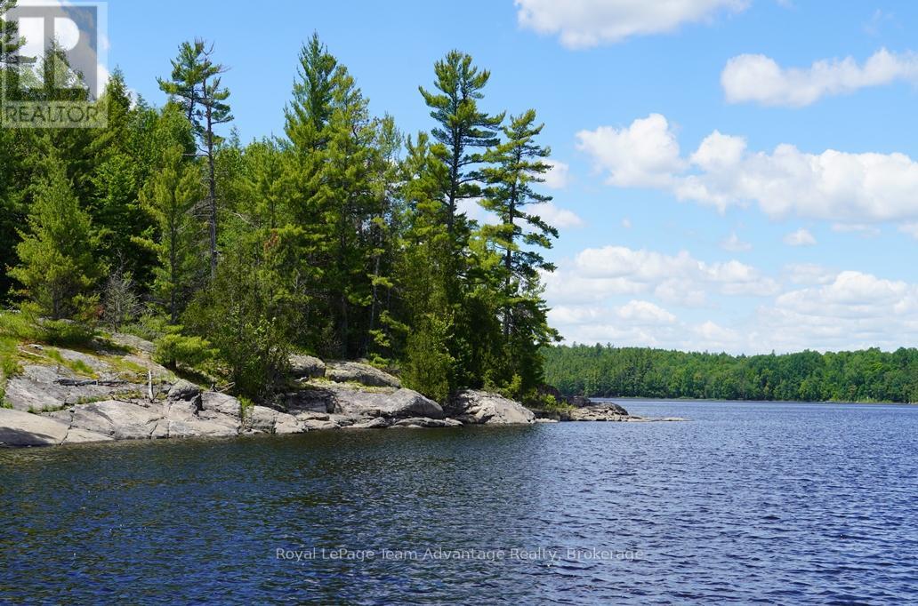 Ws89 Island French River, Parry Sound Remote Area, Ontario  P0M 1A0 - Photo 18 - X13425126