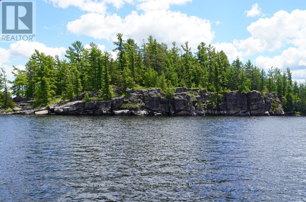 Ws89 Island French River, Parry Sound Remote Area, Ontario  P0M 1A0 - Photo 5 - X13425126