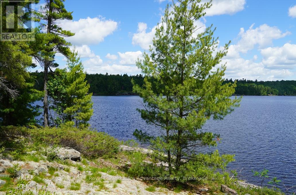 Ws89 Island French River, Parry Sound Remote Area, Ontario  P0M 1A0 - Photo 12 - X13425126