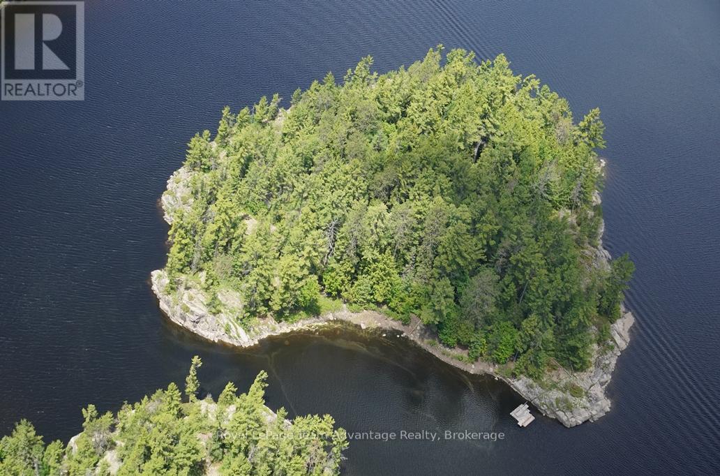 Ws89 Island French River, Parry Sound Remote Area, Ontario  P0M 1A0 - Photo 2 - X13425126