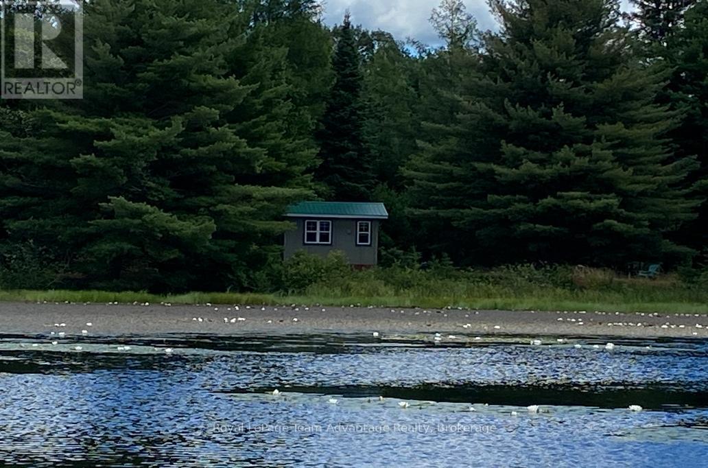 0 Hurdville Road, Mckellar, Ontario  P2A 0B5 - Photo 13 - X13426052