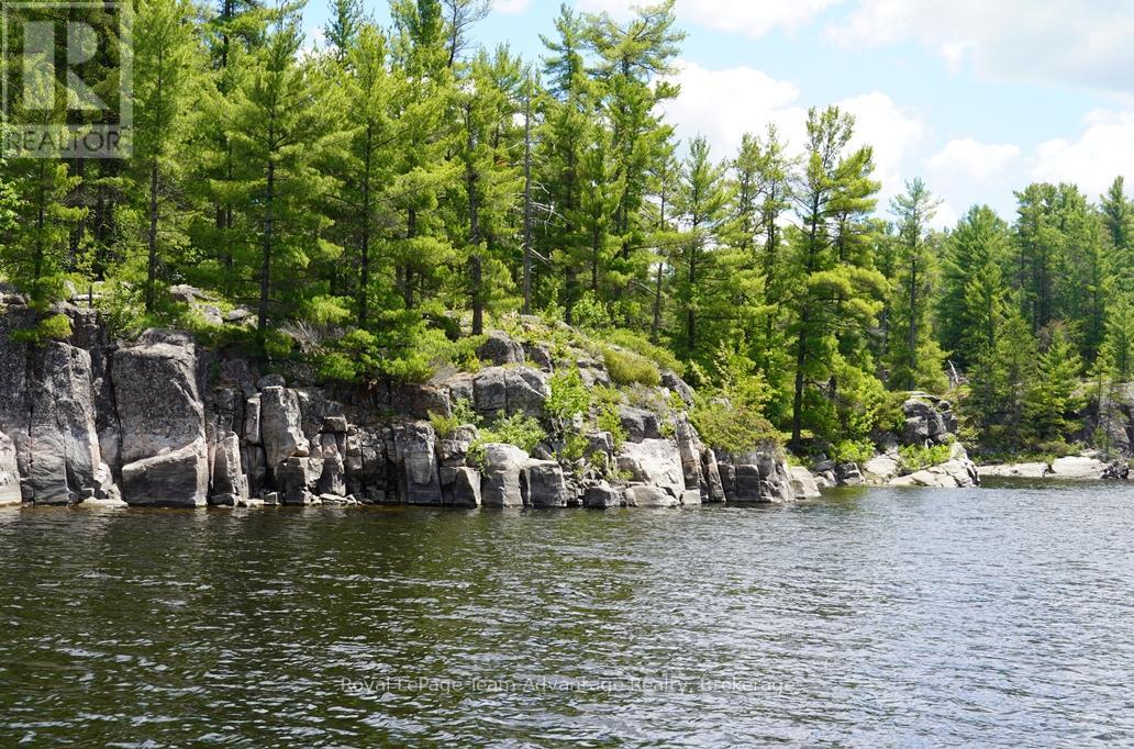 Ws89 Island French River, Parry Sound Remote Area, Ontario  P0M 1A0 - Photo 7 - X13425126