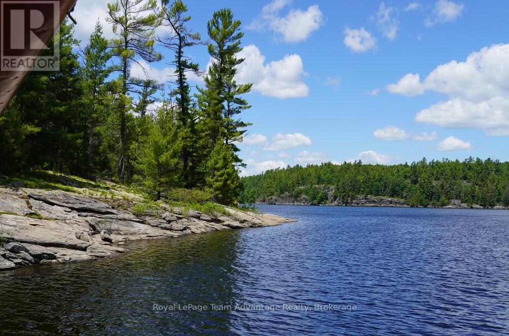 Ws89 Island French River, Parry Sound Remote Area, Ontario  P0M 1A0 - Photo 17 - X13425126