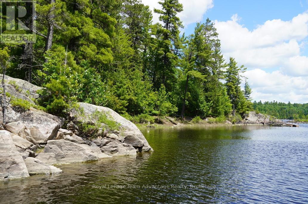 Ws89 Island French River, Parry Sound Remote Area, Ontario  P0M 1A0 - Photo 11 - X13425126
