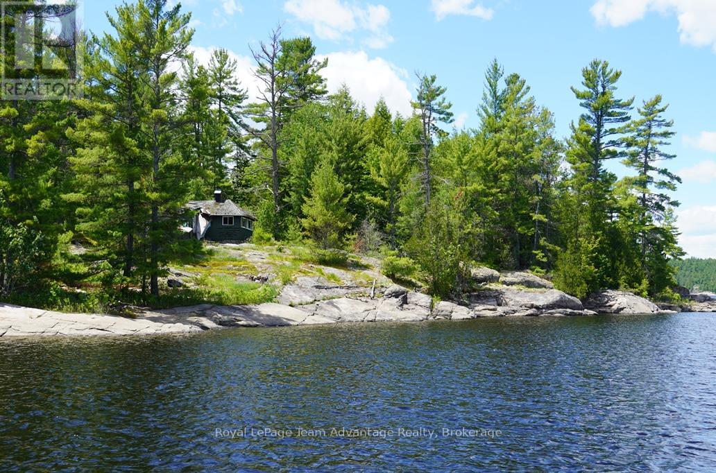 Ws89 Island French River, Parry Sound Remote Area, Ontario  P0M 1A0 - Photo 19 - X13425126