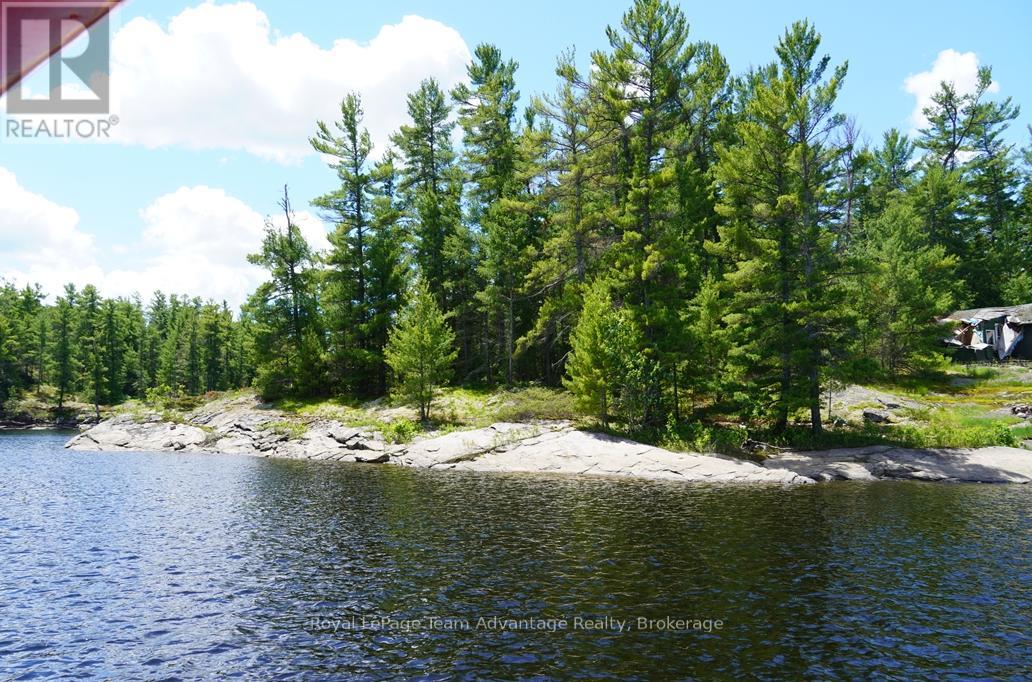 Ws89 Island French River, Parry Sound Remote Area, Ontario  P0M 1A0 - Photo 20 - X13425126