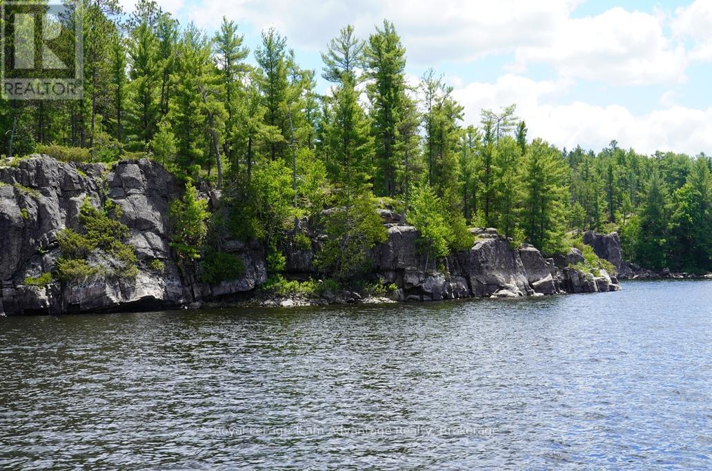Ws89 Island French River, Parry Sound Remote Area, Ontario  P0M 1A0 - Photo 6 - X13425126