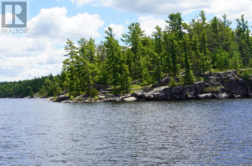 Ws89 Island French River, Parry Sound Remote Area, Ontario  P0M 1A0 - Photo 4 - X13425126