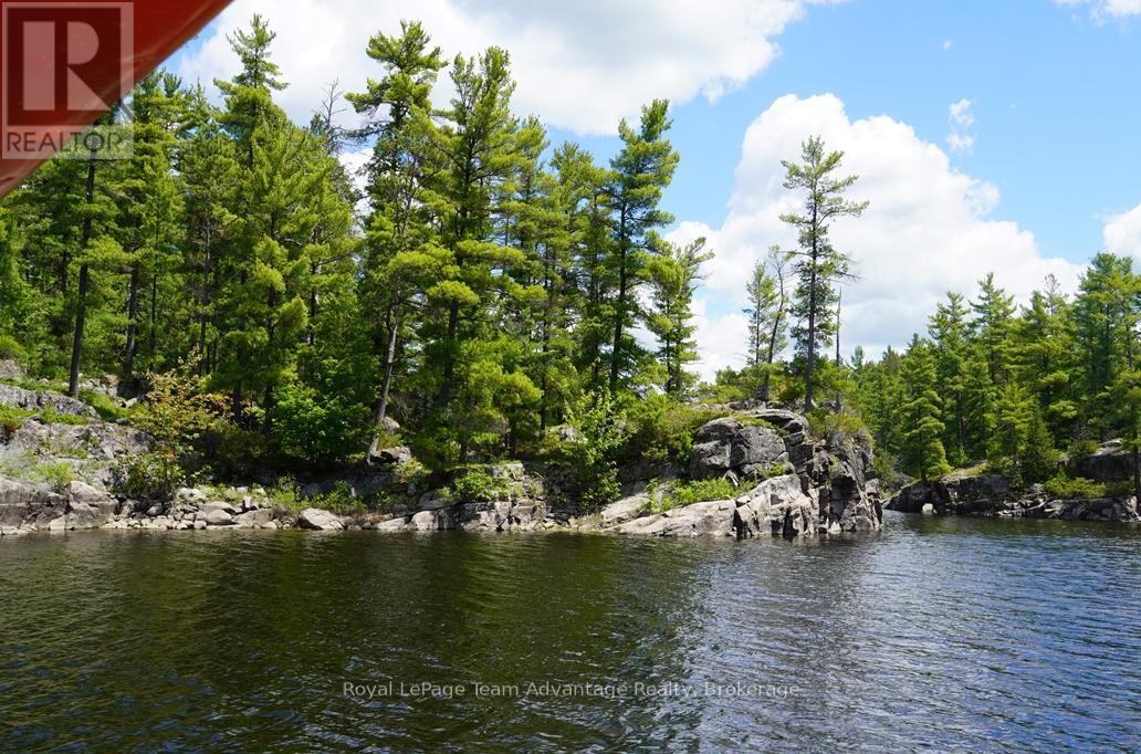 Ws89 Island French River, Parry Sound Remote Area, Ontario  P0M 1A0 - Photo 8 - X13425126