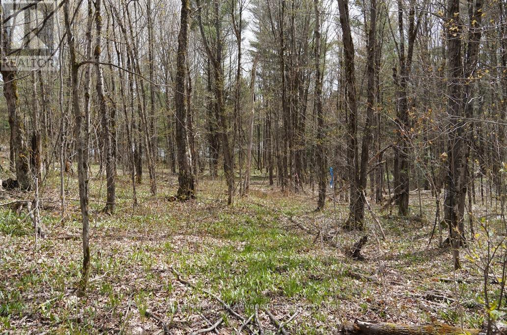 0 Hurdville Road, Mckellar, Ontario  P2A 0B5 - Photo 14 - X13426052