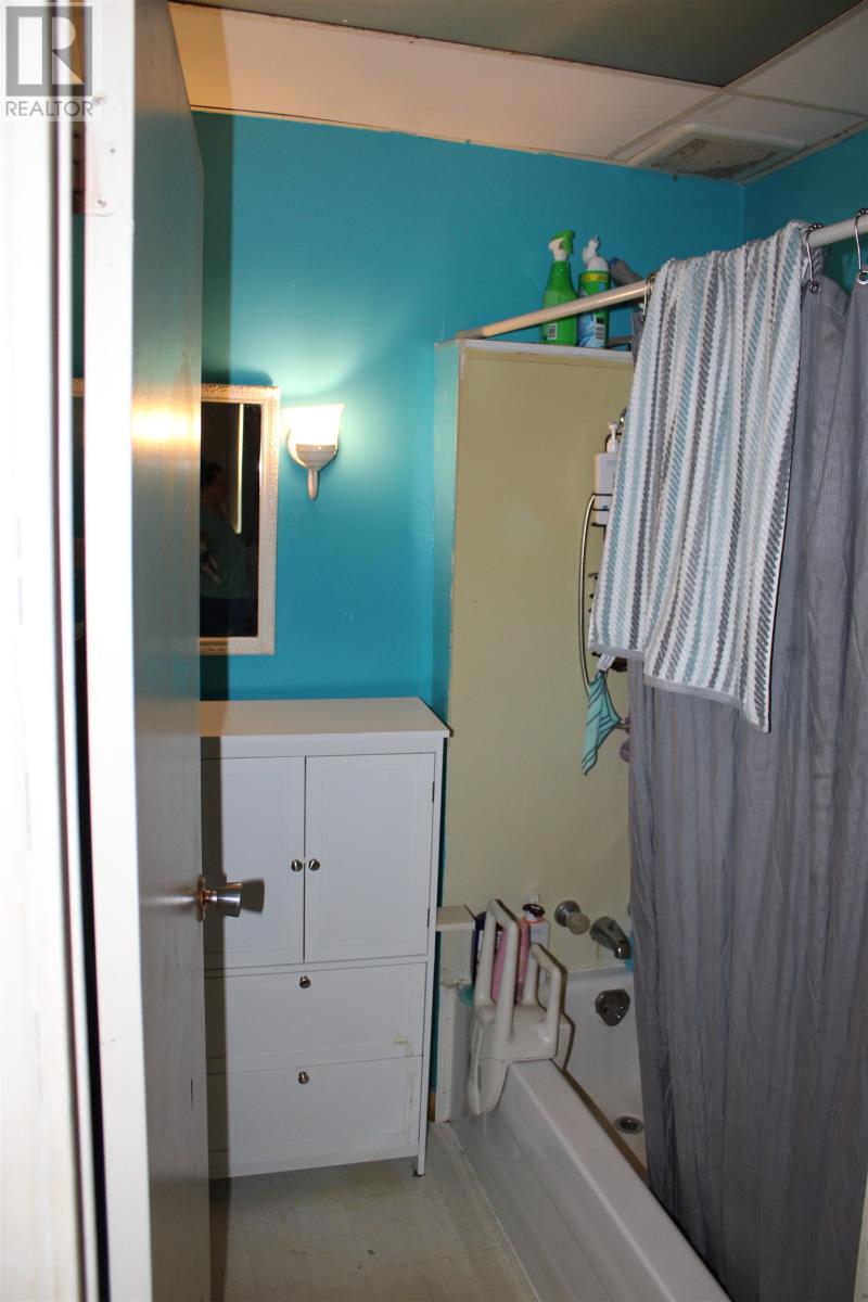 221 Francis St W, Thunder Bay, Ontario  P7E 4C1 - Photo 11 - TB2601566