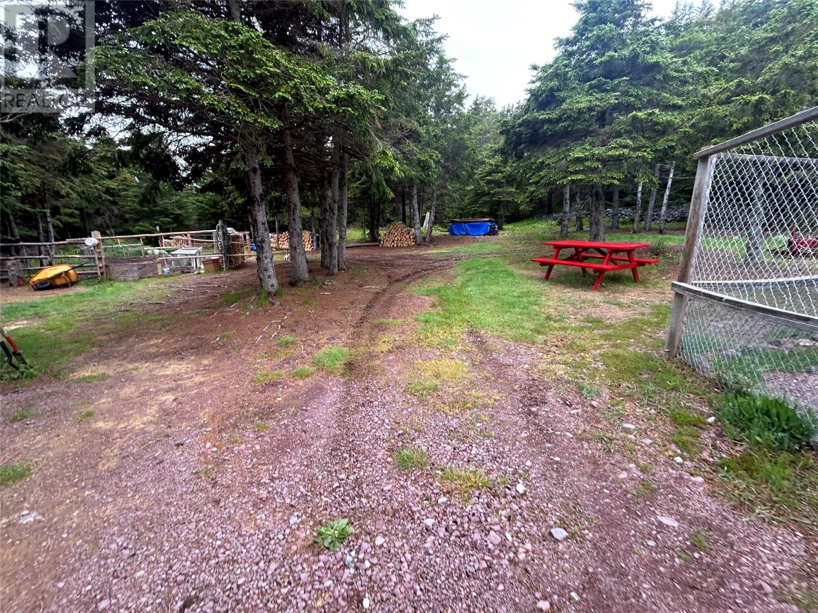 Photo 9