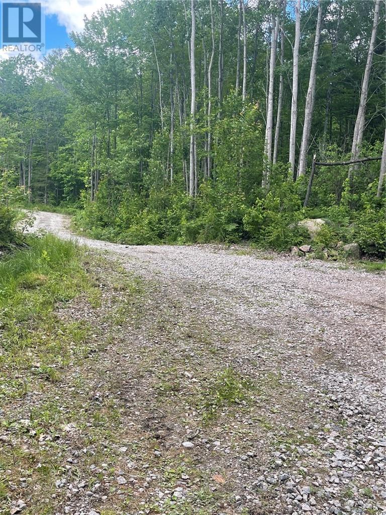 2330 B Hwy 64, Alban, Ontario    - Photo 14 - 2128706