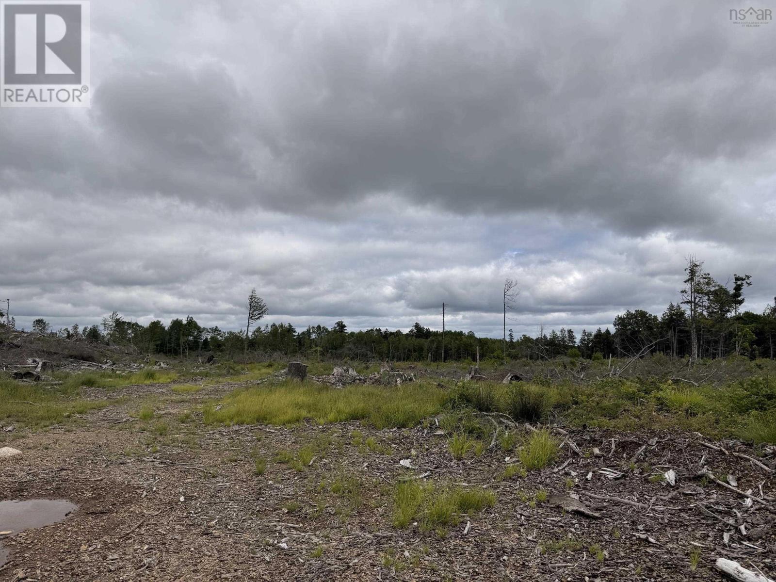 Lot 1 Big Lots Road, Blockhouse, Nova Scotia  B0J 1E0 - Photo 10 - 202615718