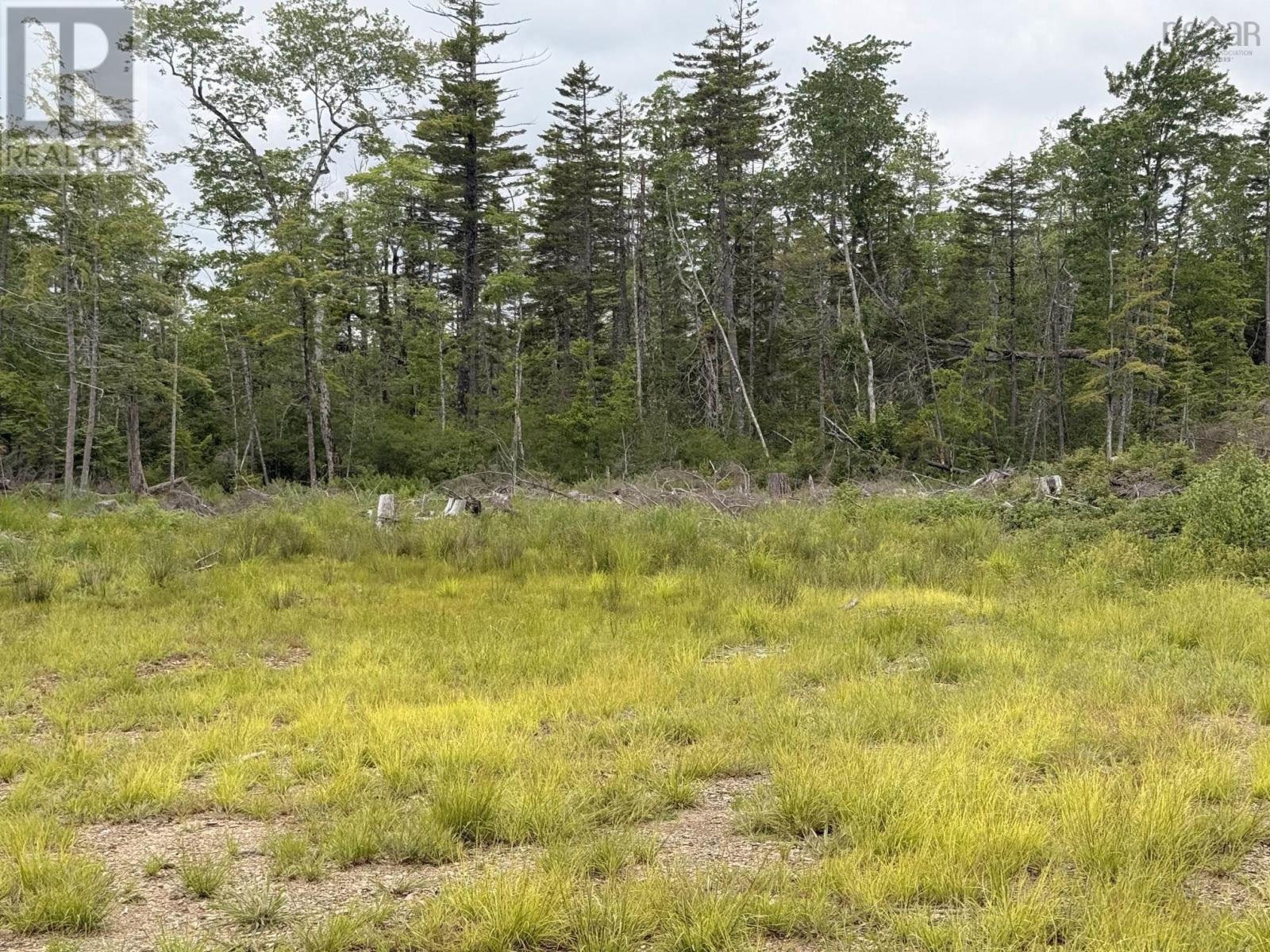 Lot 1 Big Lots Road, Blockhouse, Nova Scotia  B0J 1E0 - Photo 4 - 202615718