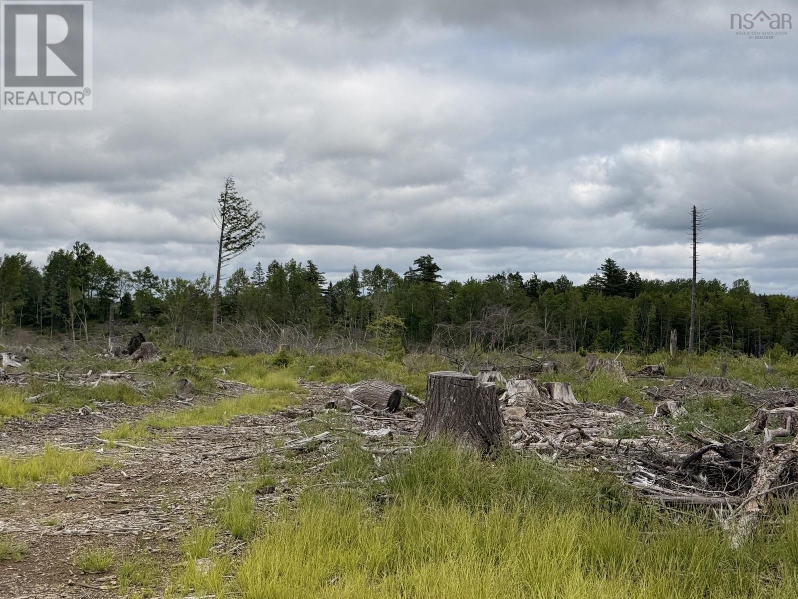 Lot 1 Big Lots Road, Blockhouse, Nova Scotia  B0J 1E0 - Photo 8 - 202615718