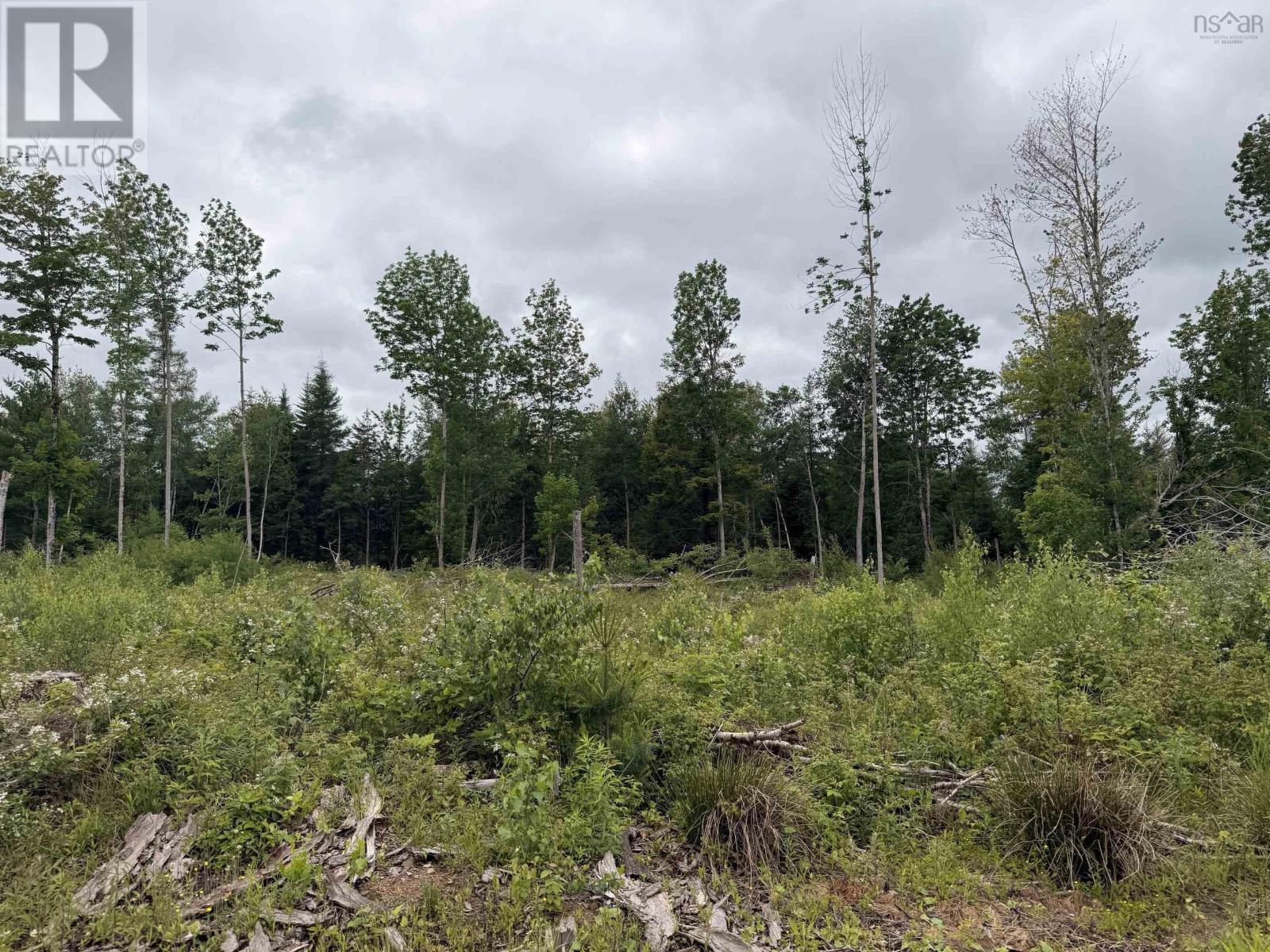 Lot 1 Big Lots Road, Blockhouse, Nova Scotia  B0J 1E0 - Photo 9 - 202615718