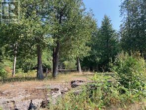 Lot 31 River Heights Road, Marmora And Lake, Ontario  K0K 2M0 - Photo 13 - X13492926