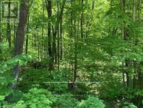 Lot 31 River Heights Road, Marmora And Lake, Ontario  K0K 2M0 - Photo 2 - X13492926