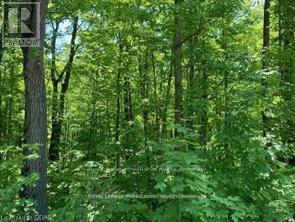 Lot 31 River Heights Road, Marmora And Lake, Ontario  K0K 2M0 - Photo 3 - X13492926