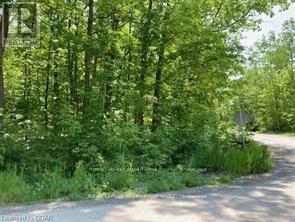 Lot 31 River Heights Road, Marmora And Lake, Ontario  K0K 2M0 - Photo 5 - X13492926