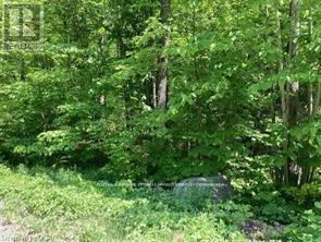 Lot 31 River Heights Road, Marmora And Lake, Ontario  K0K 2M0 - Photo 6 - X13492926