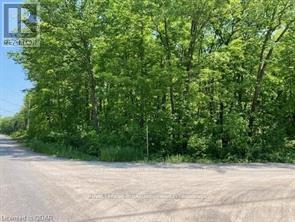 Lot 31 River Heights Road, Marmora And Lake, Ontario  K0K 2M0 - Photo 7 - X13492926