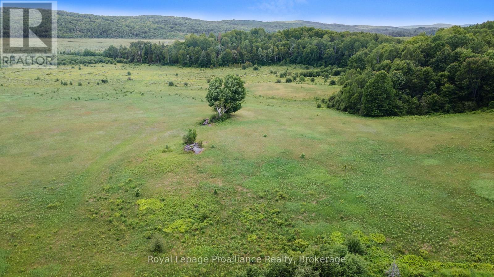 725 Peplinski Homestead Road, Madawaska Valley, Ontario  K0J 1B0 - Photo 29 - X13493026