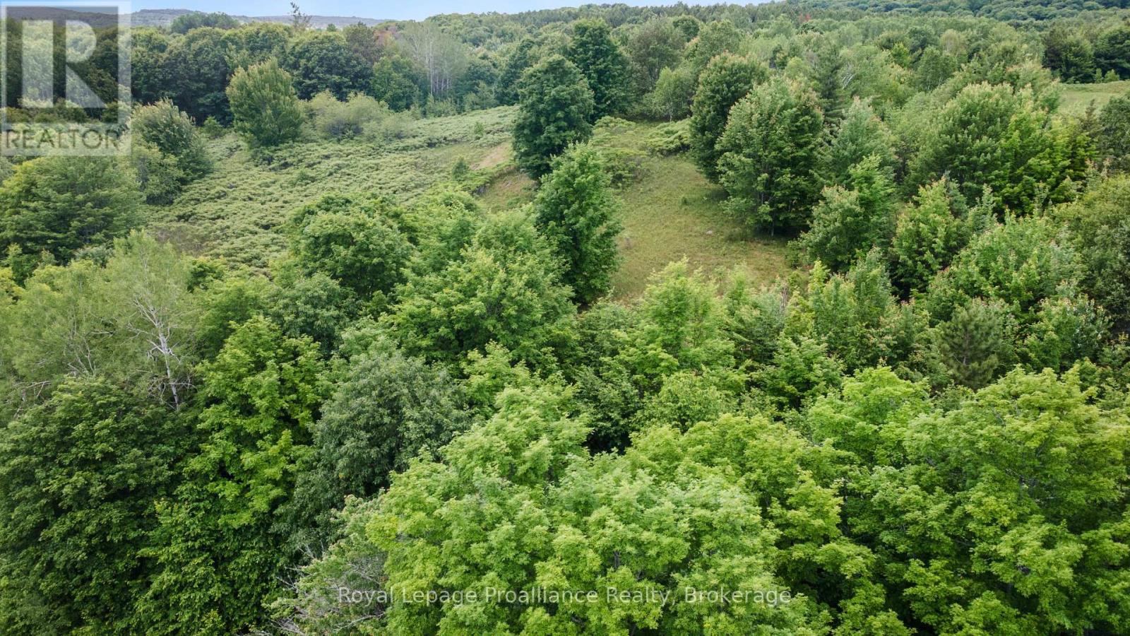 725 Peplinski Homestead Road, Madawaska Valley, Ontario  K0J 1B0 - Photo 31 - X13493026