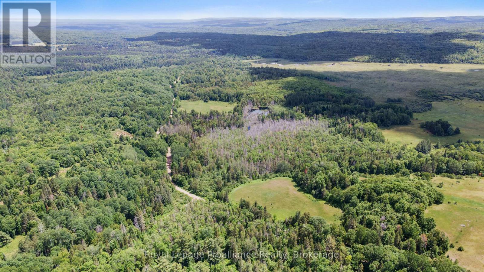 725 Peplinski Homestead Road, Madawaska Valley, Ontario  K0J 1B0 - Photo 4 - X13493026