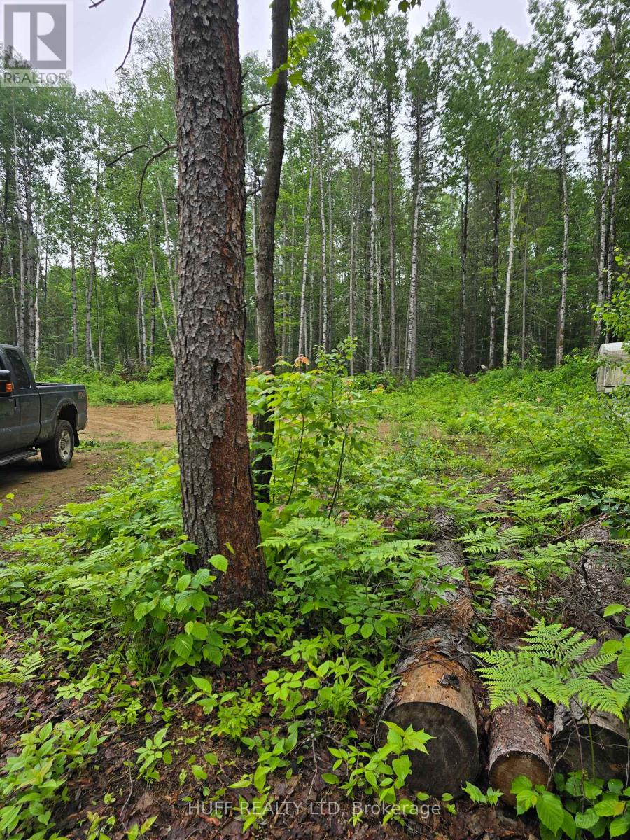 L33207 Mining Claim W, Kirkland Lake, Ontario  P0K 1L0 - Photo 10 - T13492946