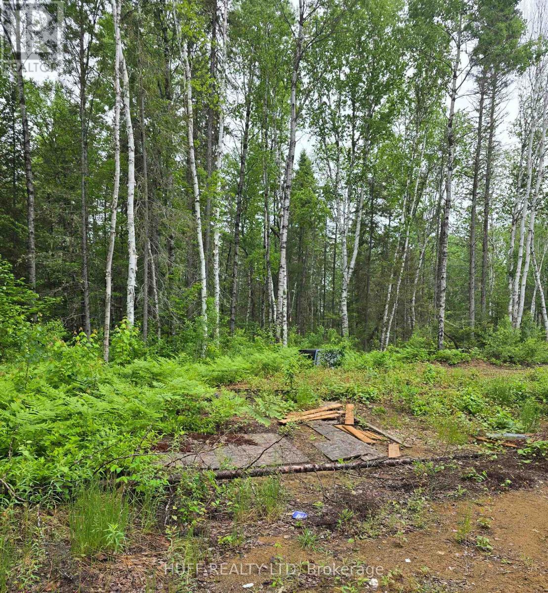 L33207 Mining Claim W, Kirkland Lake, Ontario  P0K 1L0 - Photo 11 - T13492946