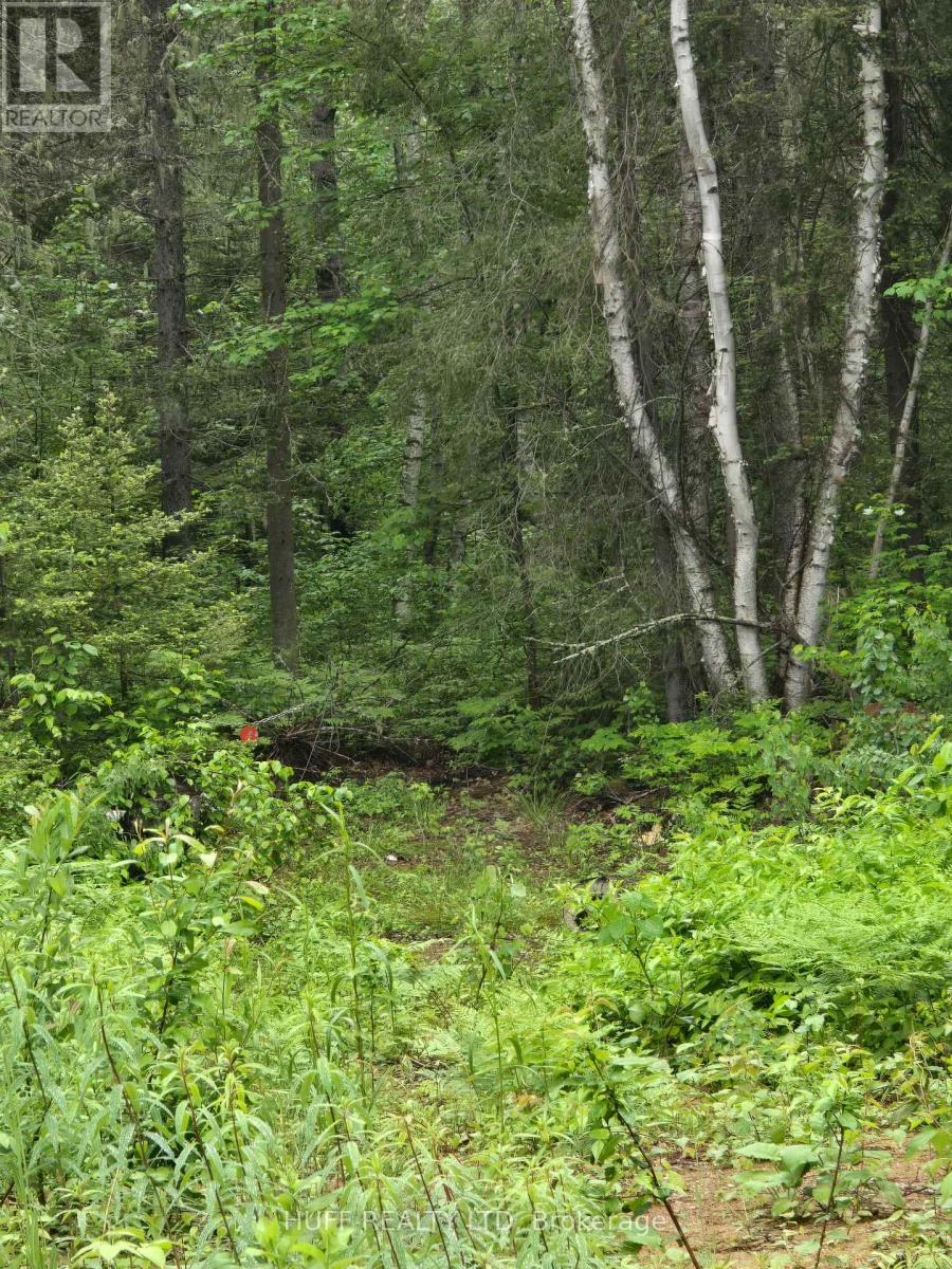 L33207 Mining Claim W, Kirkland Lake, Ontario  P0K 1L0 - Photo 12 - T13492946
