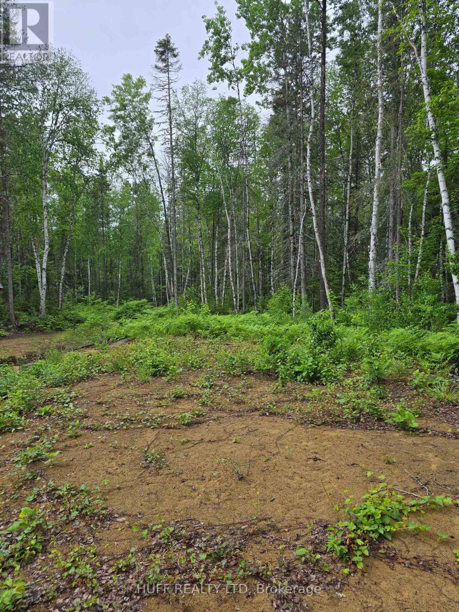 L33207 Mining Claim W, Kirkland Lake, Ontario  P0K 1L0 - Photo 14 - T13492946
