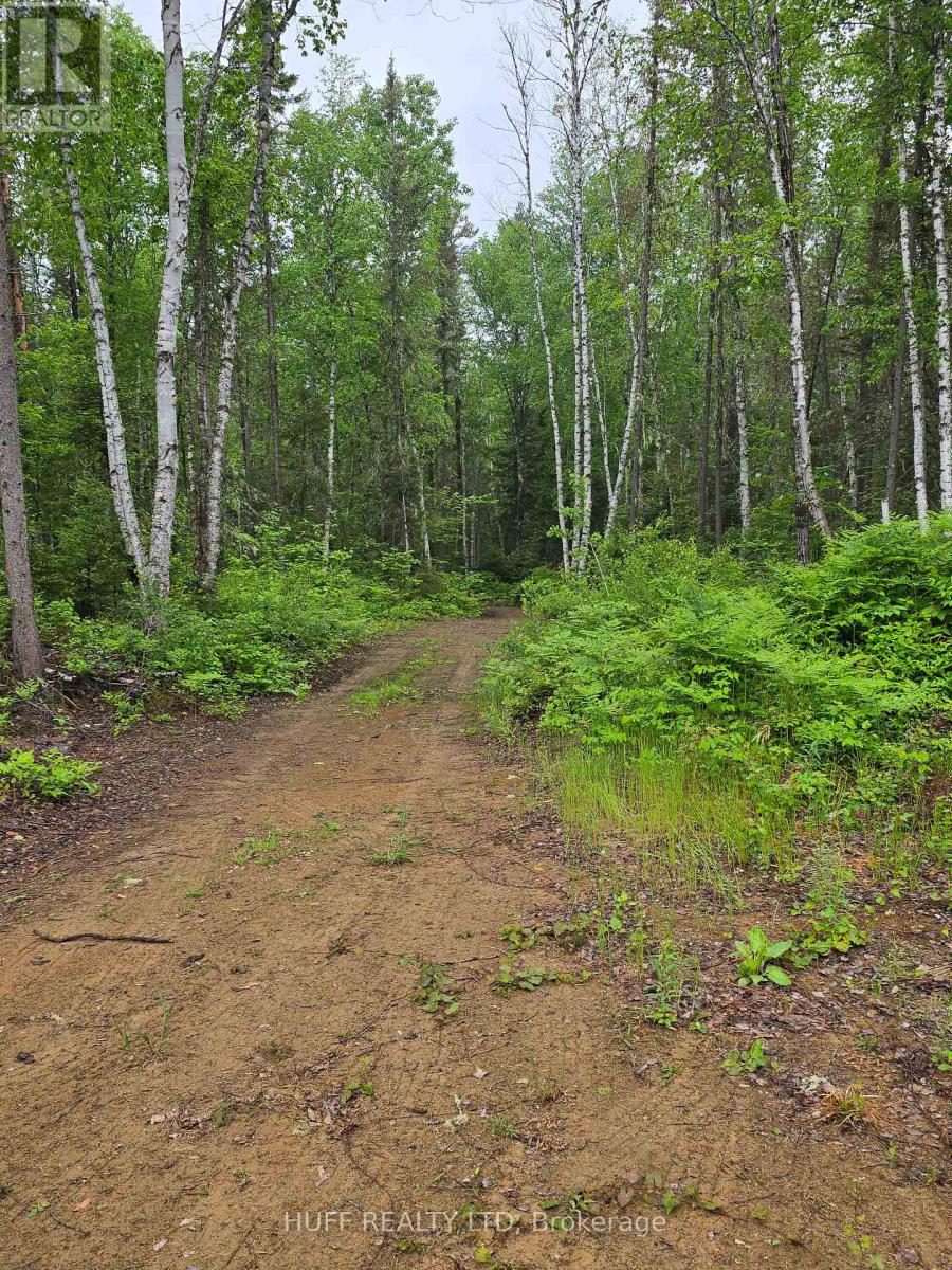 L33207 Mining Claim W, Kirkland Lake, Ontario  P0K 1L0 - Photo 21 - T13492946