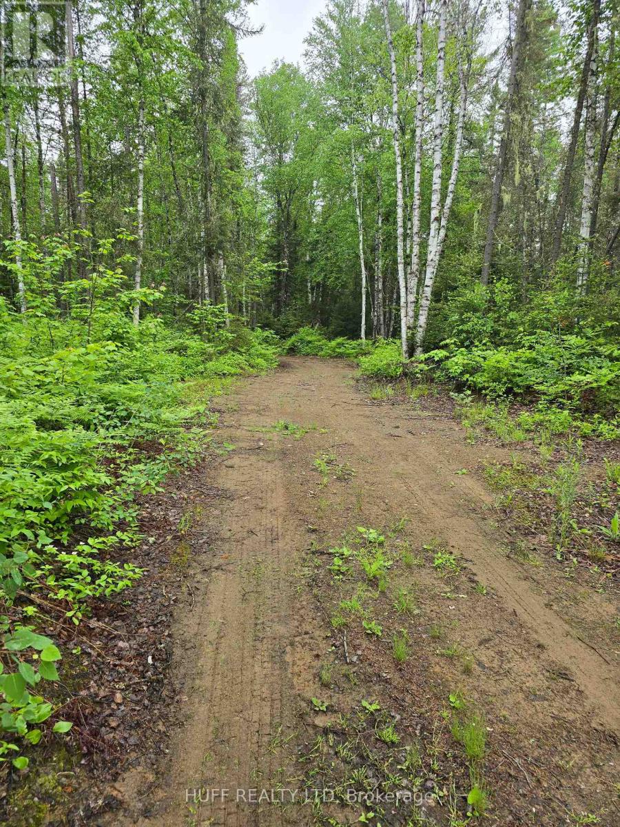 L33207 Mining Claim W, Kirkland Lake, Ontario  P0K 1L0 - Photo 8 - T13492946