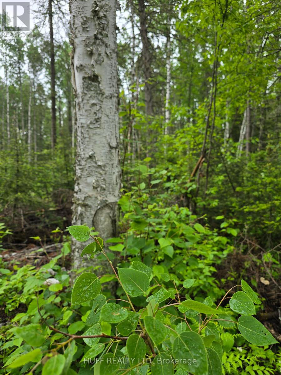 L33207 Mining Claim W, Kirkland Lake, Ontario  P0K 1L0 - Photo 9 - T13492946