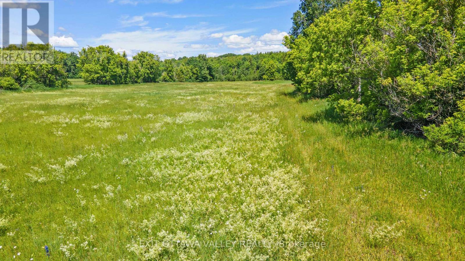3510 Foymount Road, Bonnechere Valley, Ontario  K0J 1T0 - Photo 18 - X13493056