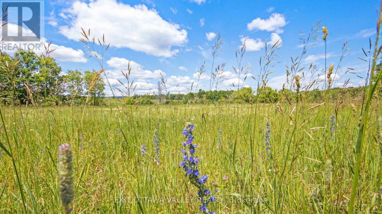 3510 Foymount Road, Bonnechere Valley, Ontario  K0J 1T0 - Photo 26 - X13493056