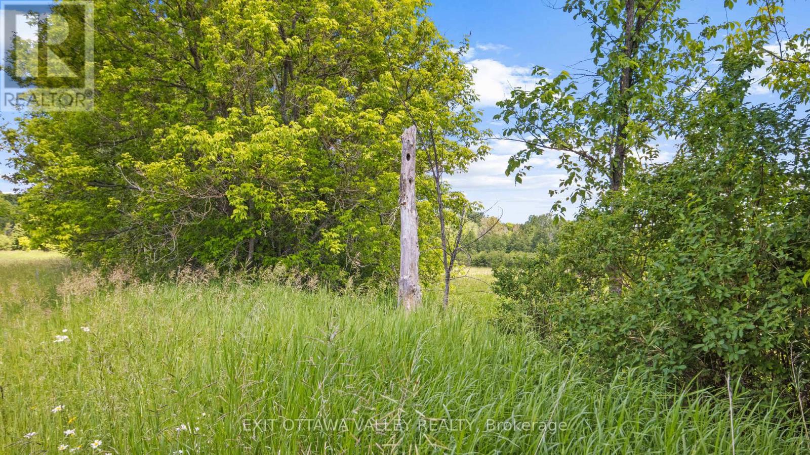 3510 Foymount Road, Bonnechere Valley, Ontario  K0J 1T0 - Photo 3 - X13493056