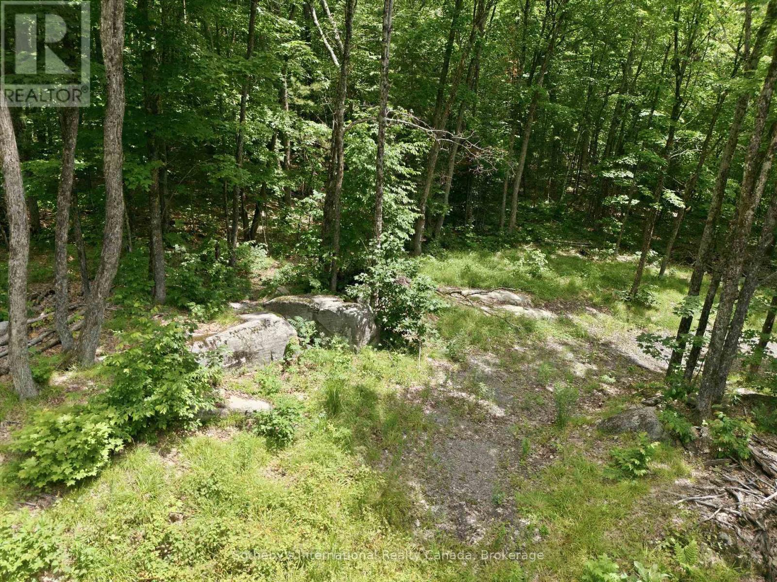 1731 Fraserburg Road, Bracebridge (Draper), Ontario  P1L 1X3 - Photo 11 - X13493044