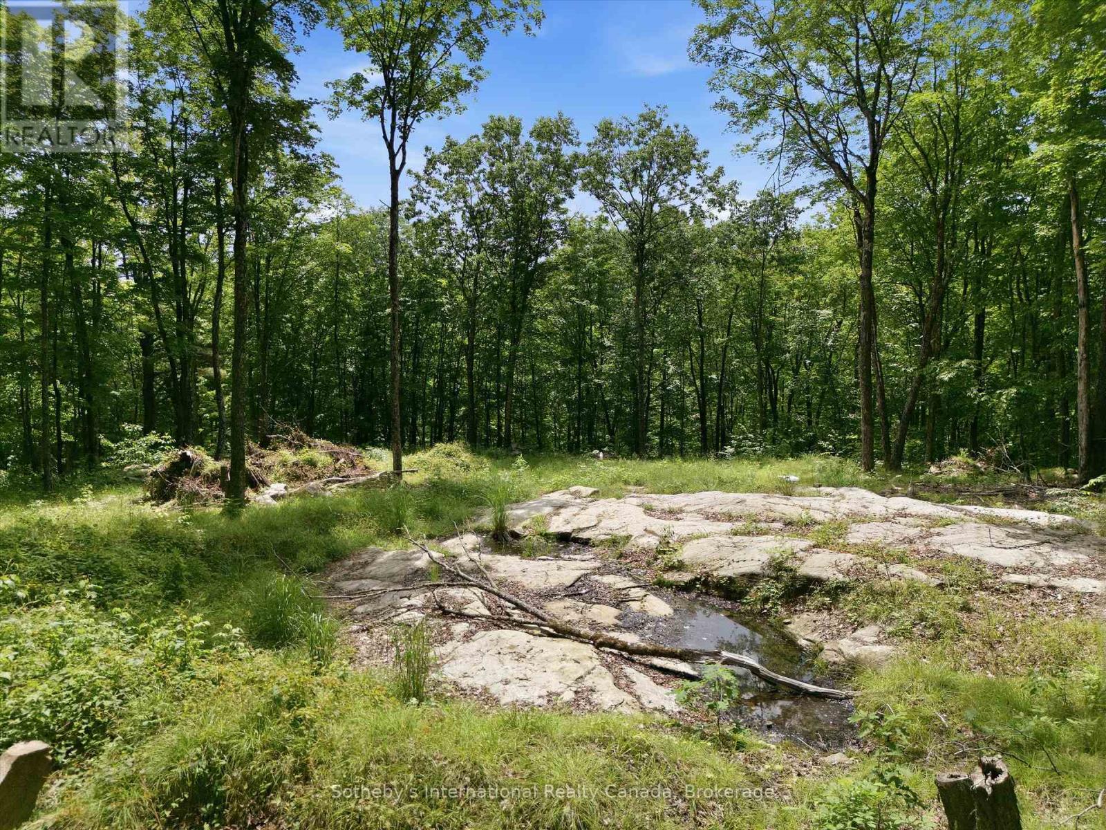 1731 Fraserburg Road, Bracebridge (Draper), Ontario  P1L 1X3 - Photo 12 - X13493044