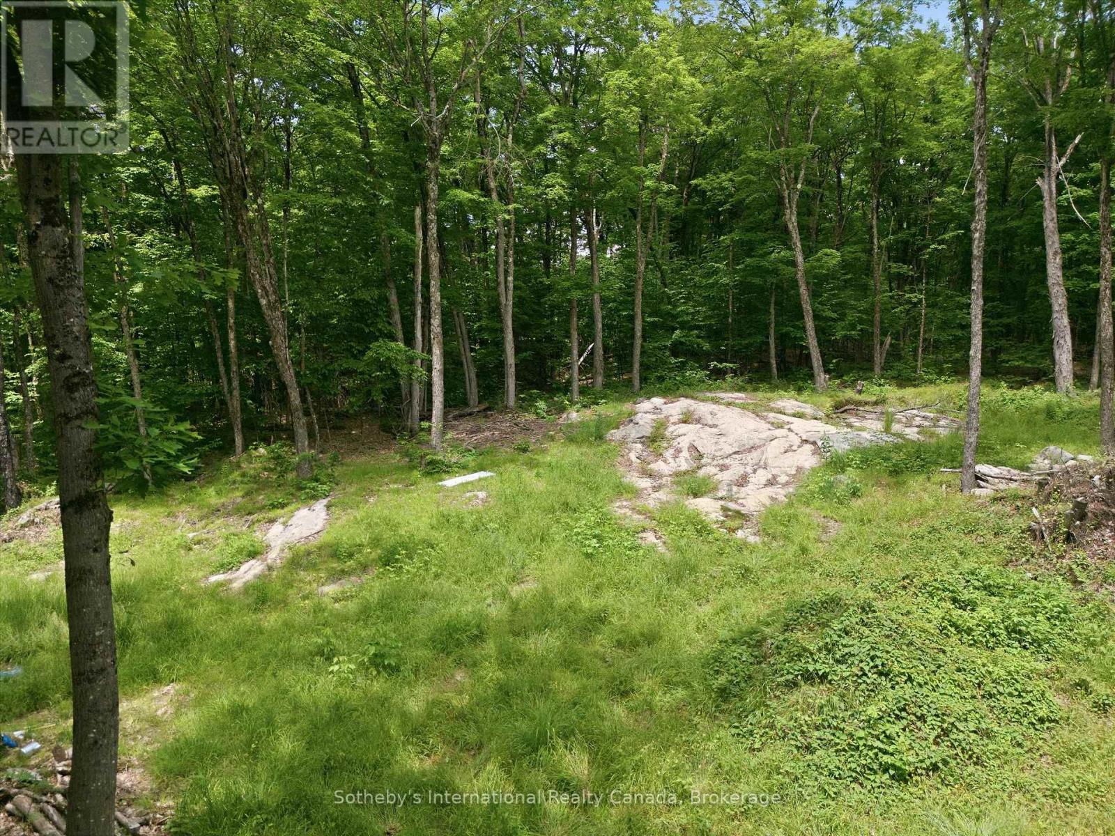 1731 Fraserburg Road, Bracebridge (Draper), Ontario  P1L 1X3 - Photo 14 - X13493044