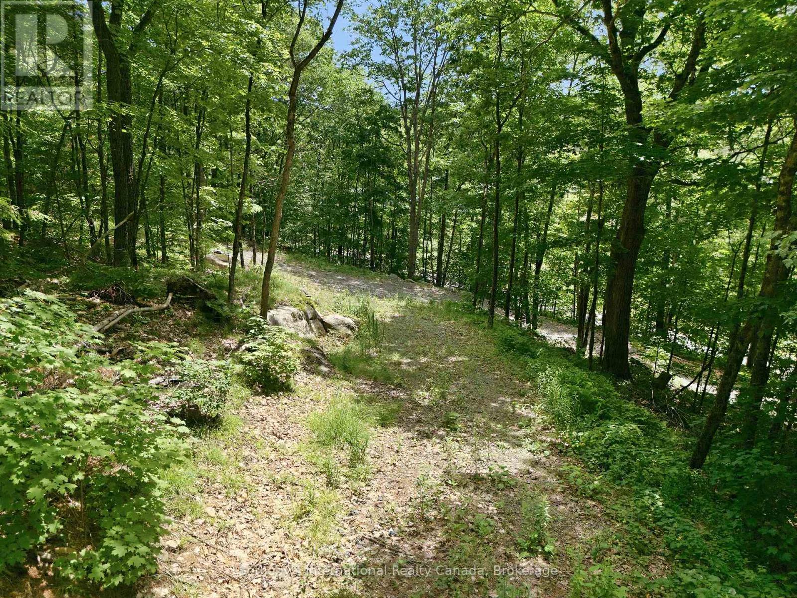 1731 Fraserburg Road, Bracebridge (Draper), Ontario  P1L 1X3 - Photo 3 - X13493044