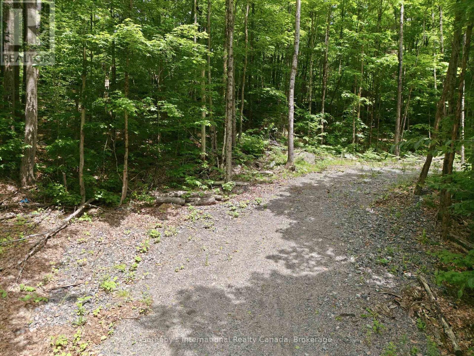 1731 Fraserburg Road, Bracebridge (Draper), Ontario  P1L 1X3 - Photo 4 - X13493044