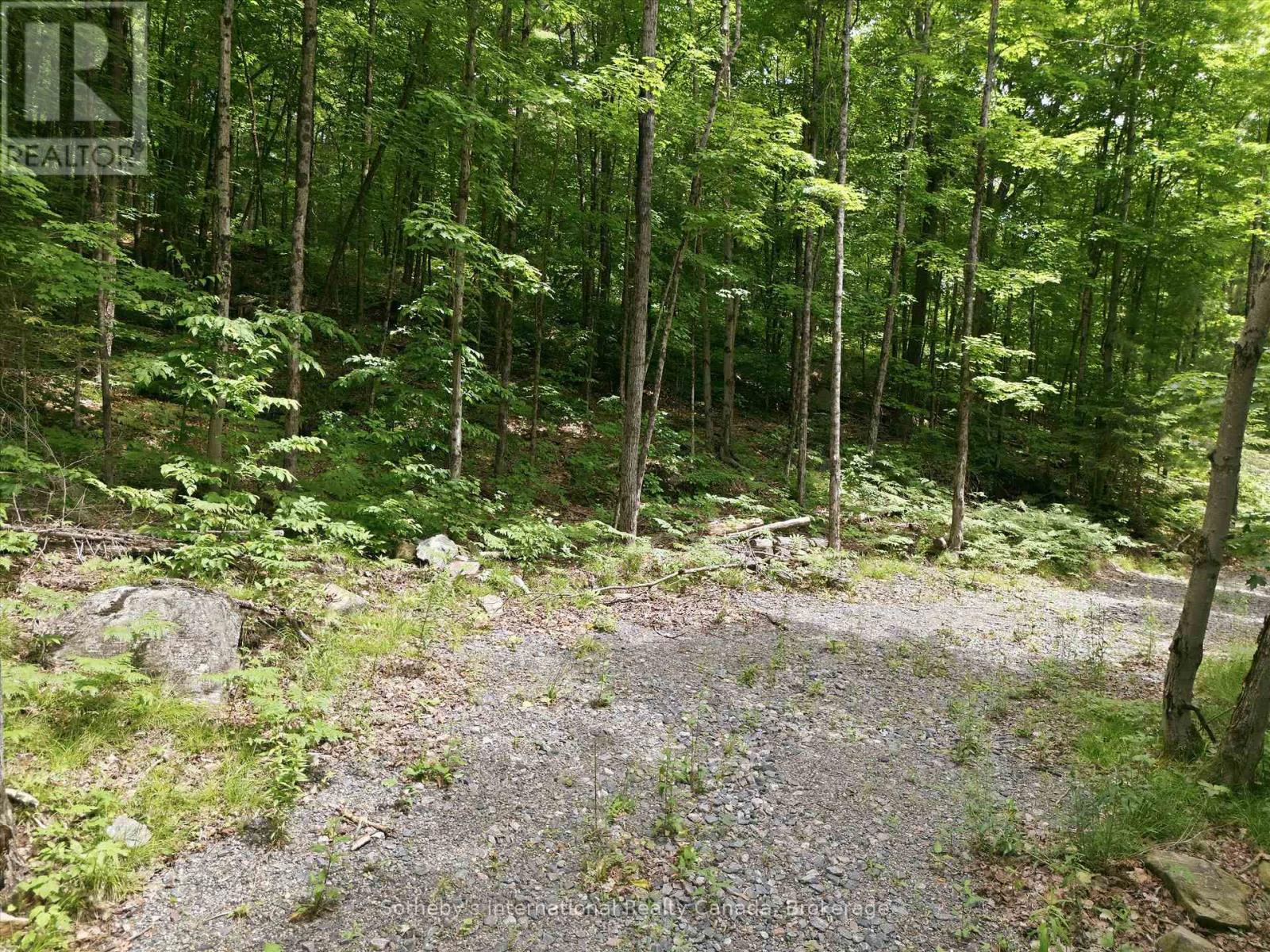 1731 Fraserburg Road, Bracebridge (Draper), Ontario  P1L 1X3 - Photo 6 - X13493044