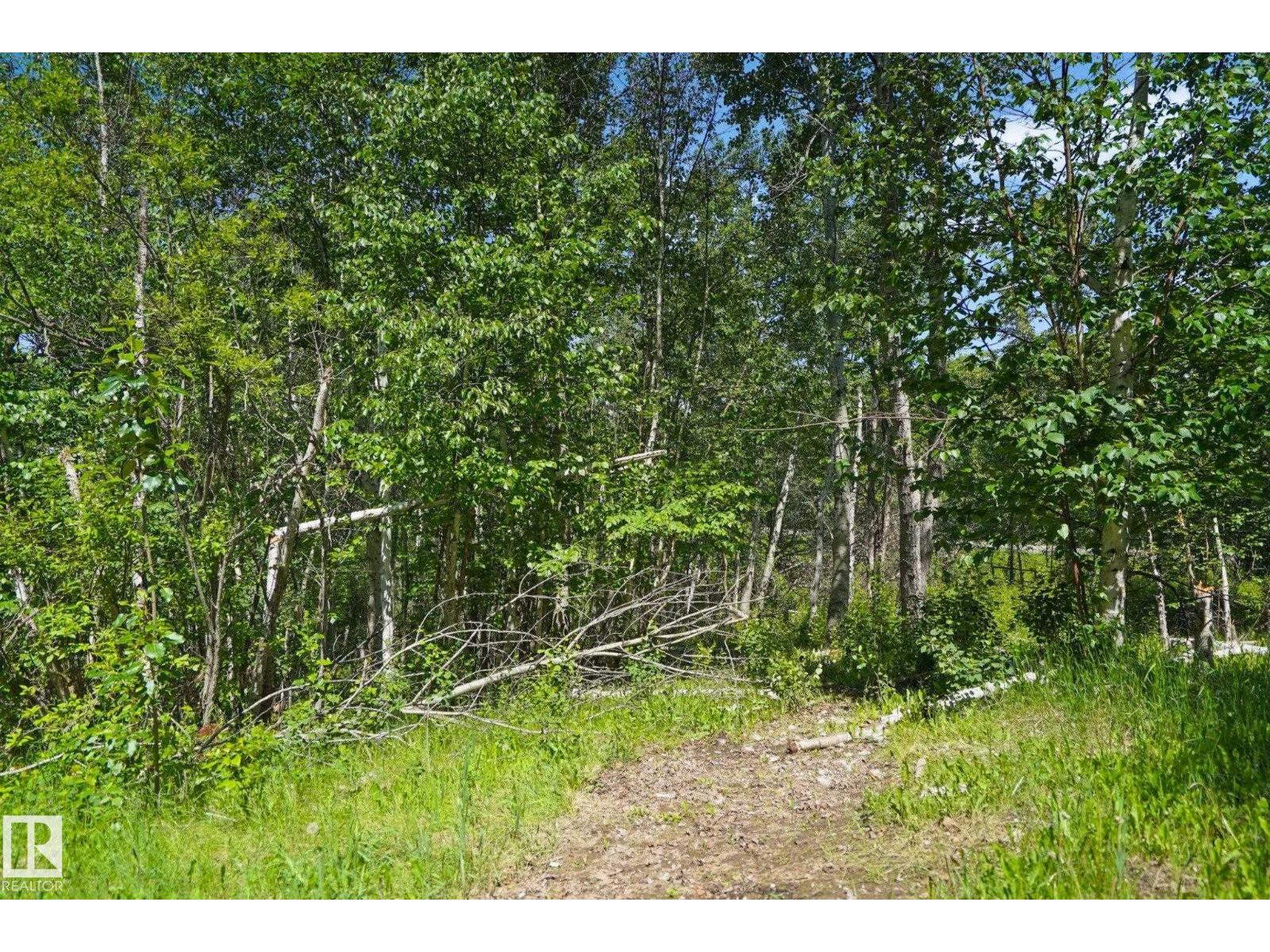 #27 1103 Twp Road 540, Rural Parkland County, Alberta  T7Y 0A6 - Photo 10 - E4495803