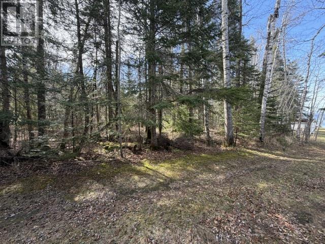 485 East Floral Beach Rd, Shuniah, Ontario  P7A 0H1 - Photo 23 - TB2601704