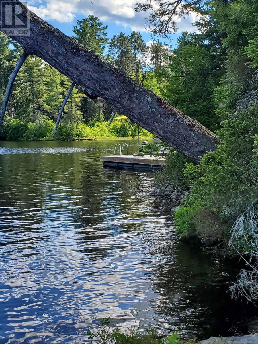 928 Island Island, Temagami, Ontario  P0H 2H0 - Photo 12 - X13493388
