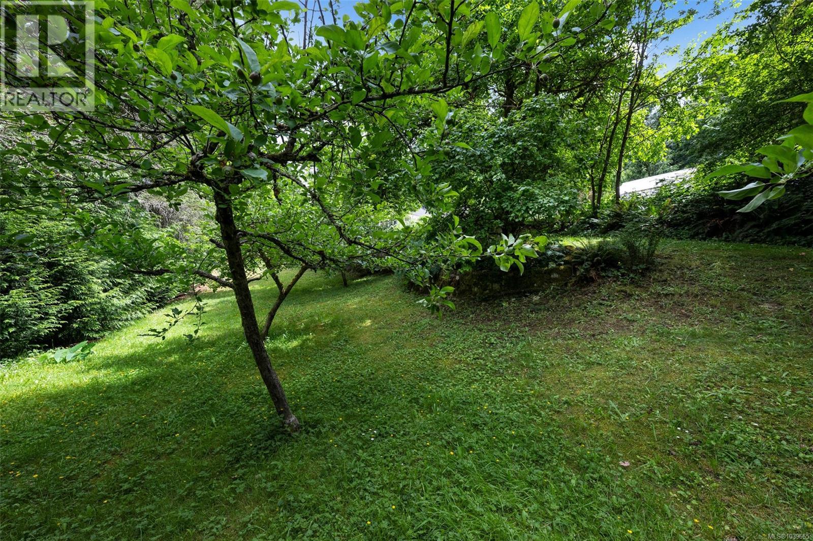 Listing image 52